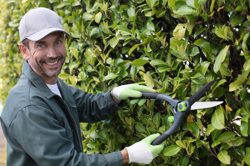 Hedge Pruning in Aiken, SC