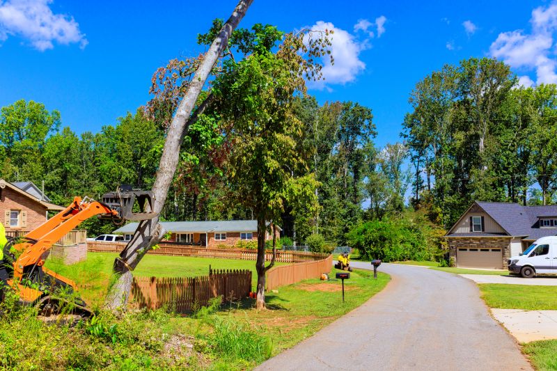 Invasive Plant Removal