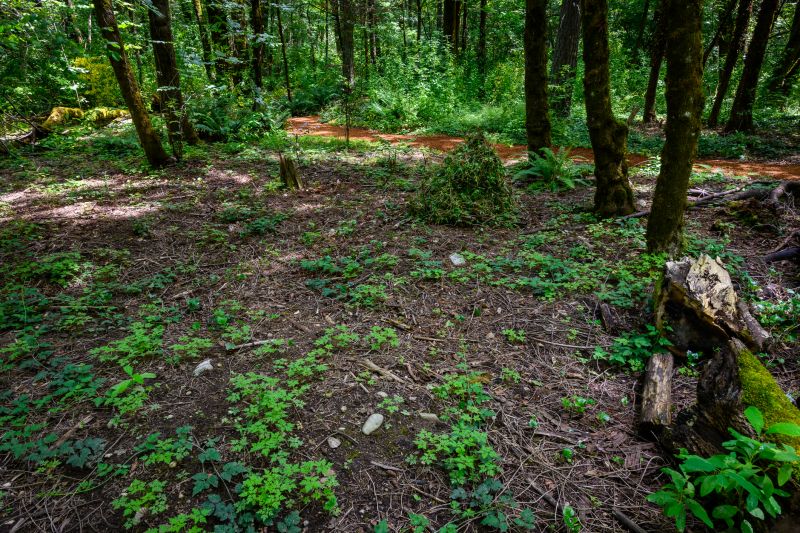Improves Landscape Health
